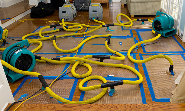 Professional Sewage Cleanup technician working in Marengo, OH